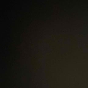 Leaf Removal by Cornhuskerxleaning and More LLC reviewed on October 5, 2024