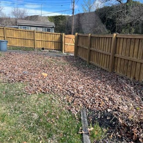 Leaf Removal by Fazal Management Group LLC reviewed on August 5, 2022