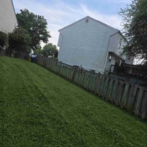 Weeding by Andre Lawns reviewed on November 27, 2024