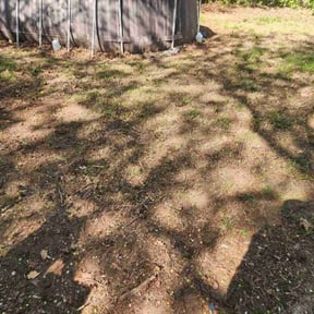 Leaf Removal by L.H. landscaping & hardscaping reviewed on July 19, 2022