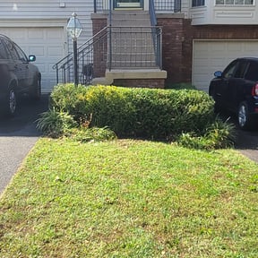 Bush Trimming by Jeri Cleaning Services reviewed on July 15, 2022