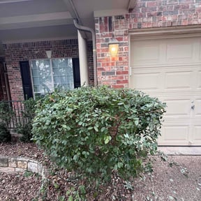 Bush Trimming by Johnson landscaping reviewed on April 29, 2023