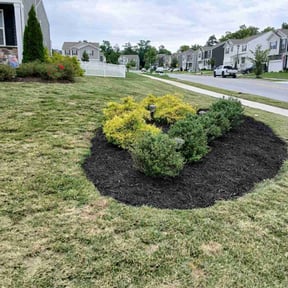 Weeding by Jg landscape reviewed on March 23, 2022
