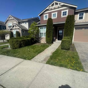 Bush Trimming by Schindler's Lawn reviewed on June 11, 2020