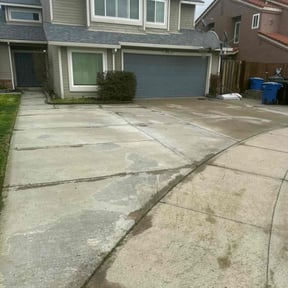 Bush Trimming by A -Pro Home Services reviewed on July 11, 2022