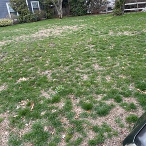 Landscaping by LawnsRUs  reviewed on May 2, 2022