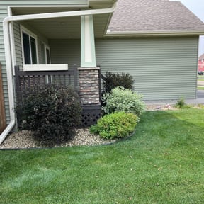 Bush Trimming by real lawn service reviewed on June 9, 2022