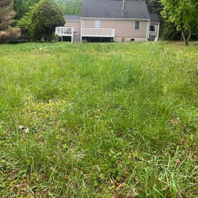 Bush Trimming by Paul Landis Dba Pro Turf Landscape and Lawn care reviewed on August 22, 2024