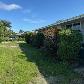 Bush Trimming by Hands On reviewed on July 28, 2022