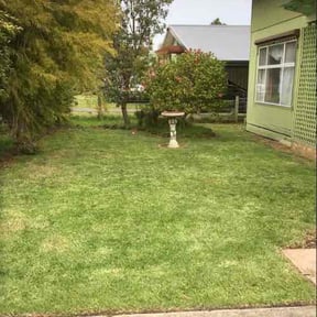 Bush Trimming by Rucker’s Lawn Care reviewed on May 24, 2022