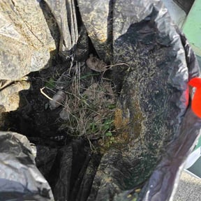 Cleanups by Tilcco reviewed on June 20, 2022