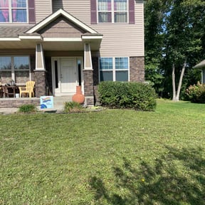 Bush Trimming by WBG Lawn Solutions reviewed on July 14, 2025