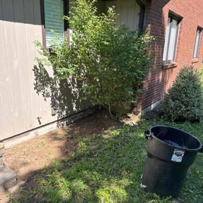 Flower Bed Weeding by Robert Bond Sr reviewed on May 3, 2022