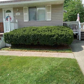 Bush Trimming by Al&#039;s Lawn care service/maintenance reviewed on July 25, 2022