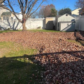 Leaf Removal by Steve’s mowing company reviewed on March 31, 2022
