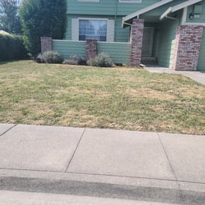 Flower Bed Weeding by Beautiful Home Services reviewed on June 25, 2022