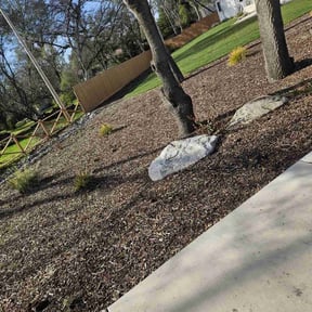 Weeding by Mow it  &amp; Blow it reviewed on August 21, 2024