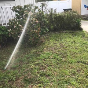 Bush Trimming by Scott Lawncare and Landscaping reviewed on May 11, 2022