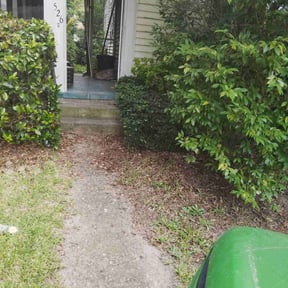 Bush Trimming by Lawn Enforcement Lawn Care LLC reviewed on November 30, 2024