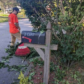 Bush Trimming by Mowtown Grounds Management reviewed on July 30, 2022
