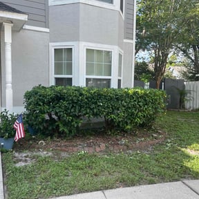 Bush Trimming by T5Ps reviewed on August 1, 2022