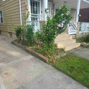 Bush Trimming by BENNETT LINKS SOLUTIONS reviewed on May 6, 2025