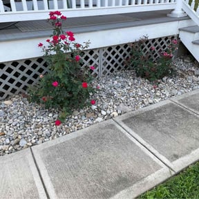 Flower Bed Weeding by Murray Services reviewed on June 24, 2022