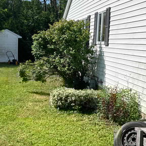 Bush Trimming by Elias Landscaping reviewed on August 16, 2025