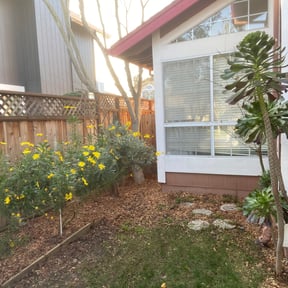 Leaf Removal by Bush Hog reviewed on April 9, 2025