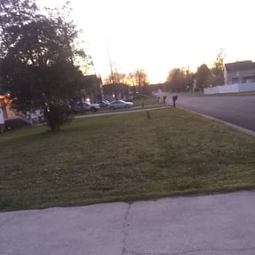 Bush Trimming by Js Lawn Care reviewed on November 15, 2024