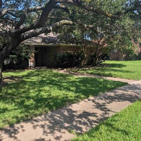 Flower Bed Weeding by Carrollton Lawn Service reviewed on August 12, 2020