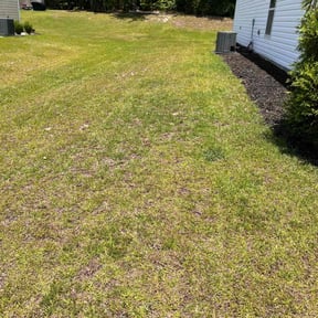 Weeding by Fisher's Lawn & Walls reviewed on November 29, 2022