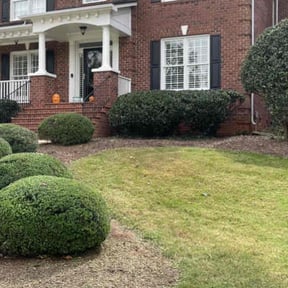 Bush Trimming by Cutting Under Pressure reviewed on July 5, 2022