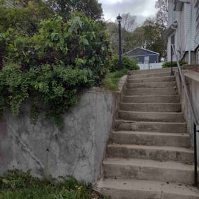 Bush Trimming by VanderWaarden Lawn Services LLC reviewed on October 5, 2021