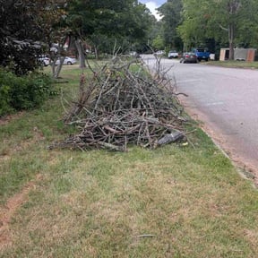Cleanups by LSLTDallas/FortWorthTruGreen reviewed on June 17, 2025
