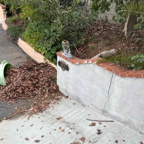 Leaf Removal by The leaf village reviewed on May 23, 2025