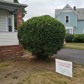 Bush Trimming by Sons bros and I lawn service reviewed on May 13, 2022