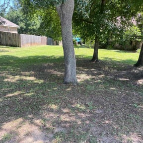 Leaf Removal by Big 3 Lawns and Landscaping reviewed on July 5, 2022