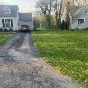 Weeding by TruGreen LawnCare reviewed on August 17, 2024