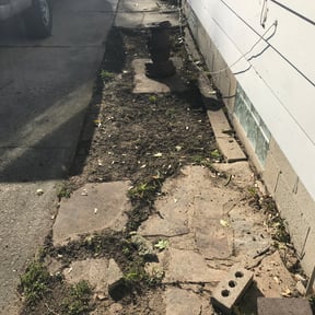 Bush Trimming by Kenosha Lawn Care reviewed on October 14, 2024