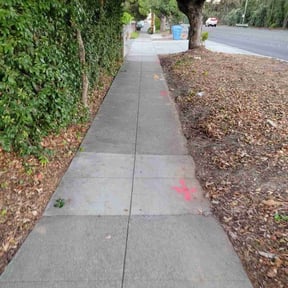 Bush Trimming by Vanlandingham Lawn Care & Services reviewed on May 24, 2022
