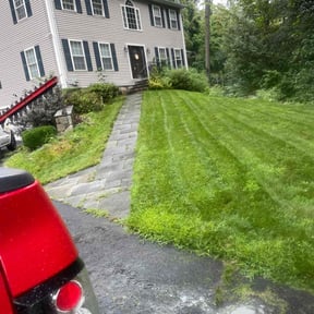 Bush Trimming by Luxury Finish Lawn care reviewed on July 1, 2022