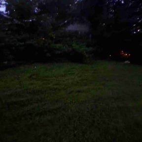 Weeding by Electric Cut Lawn Care LLC reviewed on January 10, 2025