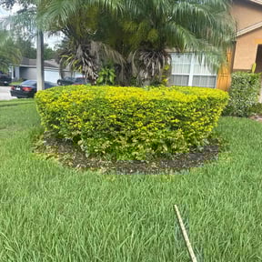 Bush Trimming by Lightfoot Enterprises reviewed on July 6, 2022