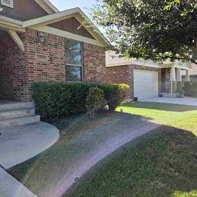 Bush Trimming by LSLTAustin/SanAntonioEmerald reviewed on August 19, 2024