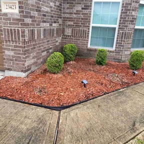 Bush Trimming by Central TX Services reviewed on July 12, 2022