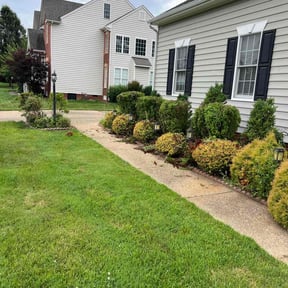 Bush Trimming by Solidlawncare reviewed on July 1, 2022