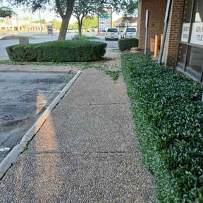 Bush Trimming by LIGHTNING LANDSCAPING & LAND MANAGEMENT reviewed on May 30, 2020