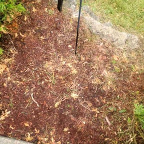 Weeding by Jay R reviewed on July 23, 2025