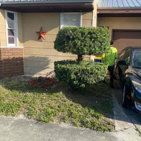 Bush Trimming by ShiftChange LLC Lawn Service reviewed on November 22, 2021